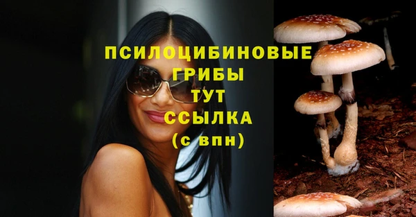 прущие крисы Нефтекумск