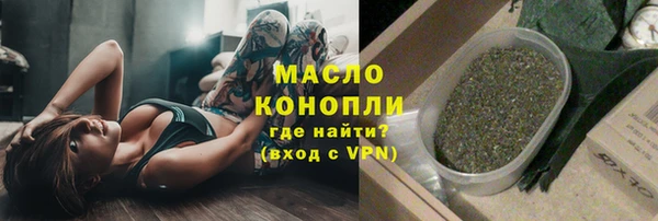 сатива Новокубанск