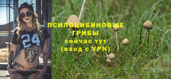 МДМА Новодвинск